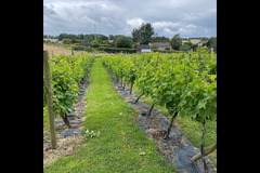 Canalside Farm Great Haywood - 13