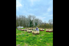 Honeyfields Bee Farm Coventry - 7
