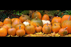 Brooksgrove Farm Haverfordwest