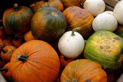 Berry Hill Farm Gwent