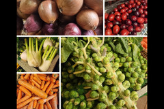 Brocksbushes Farm Corbridge - 9