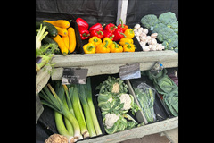 Brocksbushes Farm Corbridge - 19