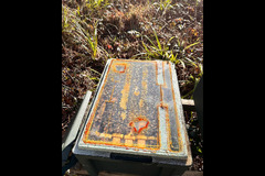 Paynes Southdown Bee Farm Hassocks