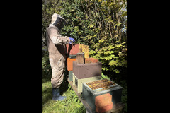 Paynes Southdown Bee Farm Hassocks - 15