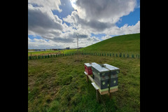 The Bee Farmer Leicestershire