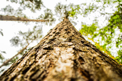 Horatio Photography Milton Keynes - 8