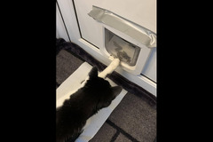 The Pet Sitting Service Birmingham
