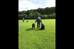 Wentworth Pet Services Birmingham - 8