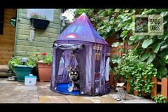 Gabs Dogs Birmingham - 7