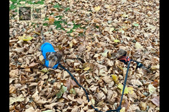 Gabs Dogs Birmingham - 9