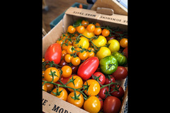 Plentiful Wholefoods Ramsbottom - 7