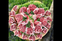 Old Hall Farm Woodton - 8