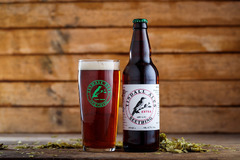 Old Hall Farm Woodton - 10