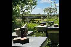 Holt Hall Apiary Tamworth - 6